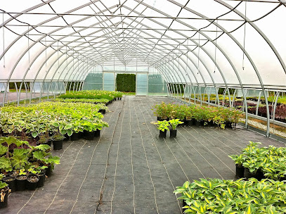 BW Greenhouse