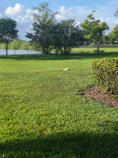 Park «Royal Palm Park», reviews and photos, 1701 NW 38th St, Oakland Park, FL 33309, USA