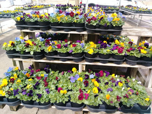 Florist «Robben Florist & Garden Center», reviews and photos, 352 Pedretti Ave, Cincinnati, OH 45238, USA