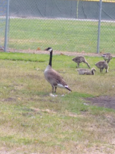 Park «Pinto Lake Park», reviews and photos, 451 Green Valley Rd, Watsonville, CA 95076, USA