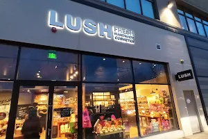 Lush Cosmetics Lynnfield image