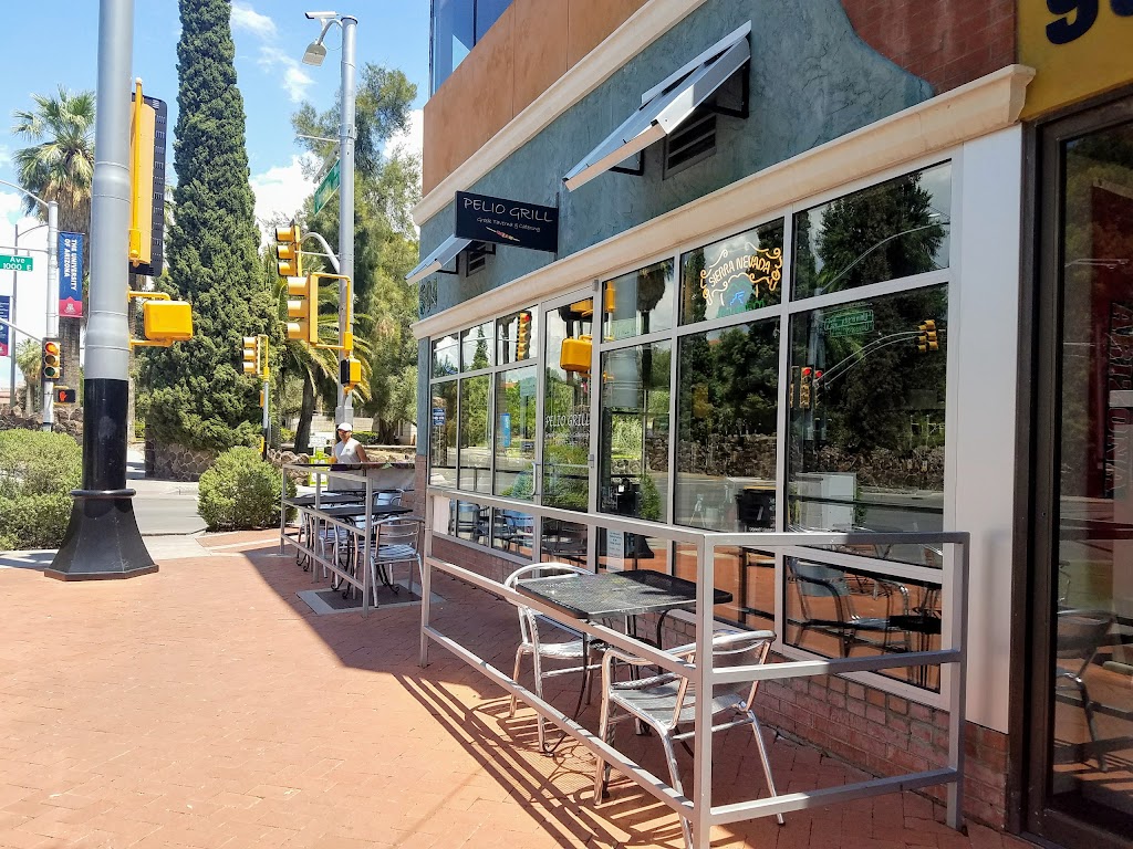 Pelio Grill Greek Taverna and Catering 85719