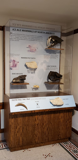 Museum «Elgin Public Museum», reviews and photos, 225 Grand Blvd, Elgin, IL 60120, USA