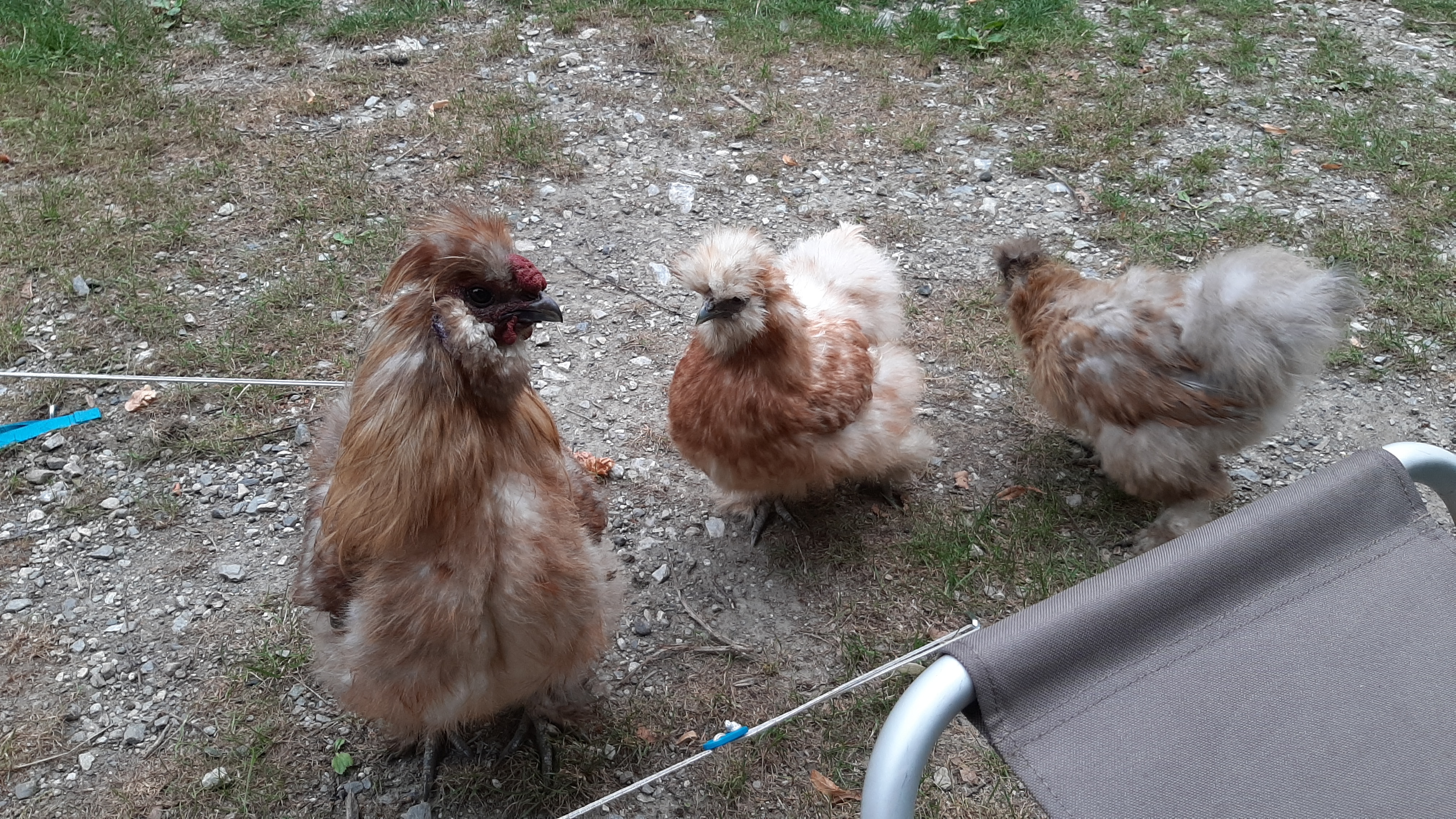 Photo n° 16 de l'avis de colonelabruti. fait le 16/08/2019 à 06:39
