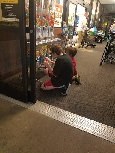 Grocery Store «Food Lion», reviews and photos, 5021 Trotwood Ave Ste 7, Columbia, TN 38401, USA