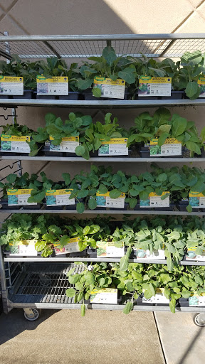 Hardware Store «Askari Ace 1 LLC», reviews and photos, 3802 N Monroe St, Tallahassee, FL 32303, USA