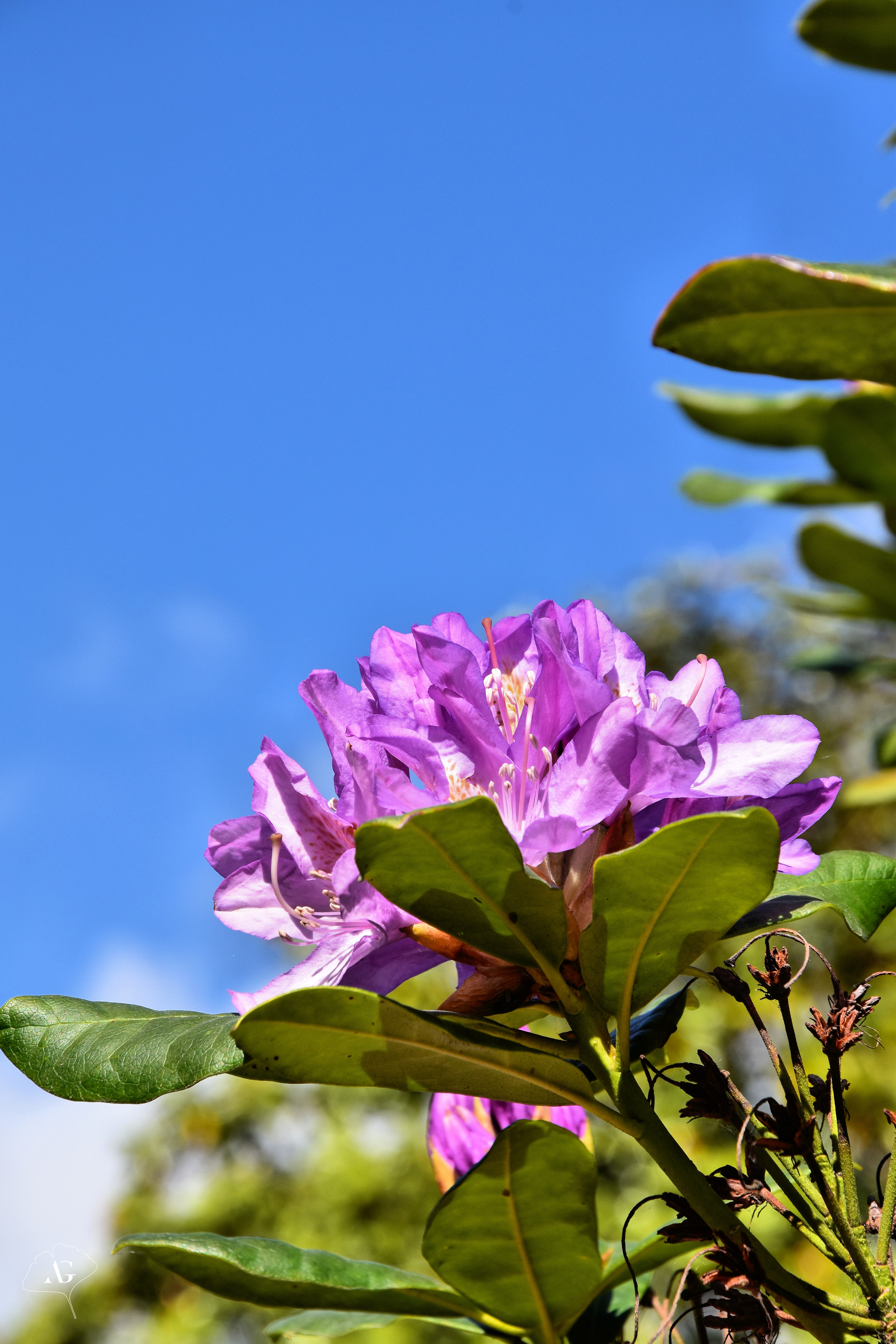 Photo n° 17 de l'avis de Audrey.. fait le 17/05/2022 à 09:49