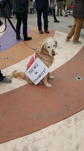 Park «Acacia Park», reviews and photos, 115 E Platte Ave, Colorado Springs, CO 80903, USA