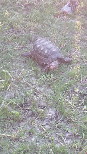 Park «Ward Park», reviews and photos, 57 Orchard St, Marlborough, MA 01752, USA