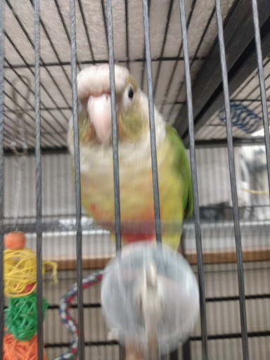 Pet Supply Store «Pet Supplies Plus», reviews and photos, 1500 McMullen Booth Rd, Clearwater, FL 33759, USA