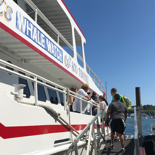 Cruise Agency «Capt. Bill & Sons Whale Watch», reviews and photos, 24 Harbor Loop, Gloucester, MA 01930, USA