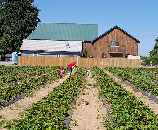Produce Market «Boones Ferry Berry Farms», reviews and photos, 19602 NE Boones Ferry Rd, Hubbard, OR 97032, USA