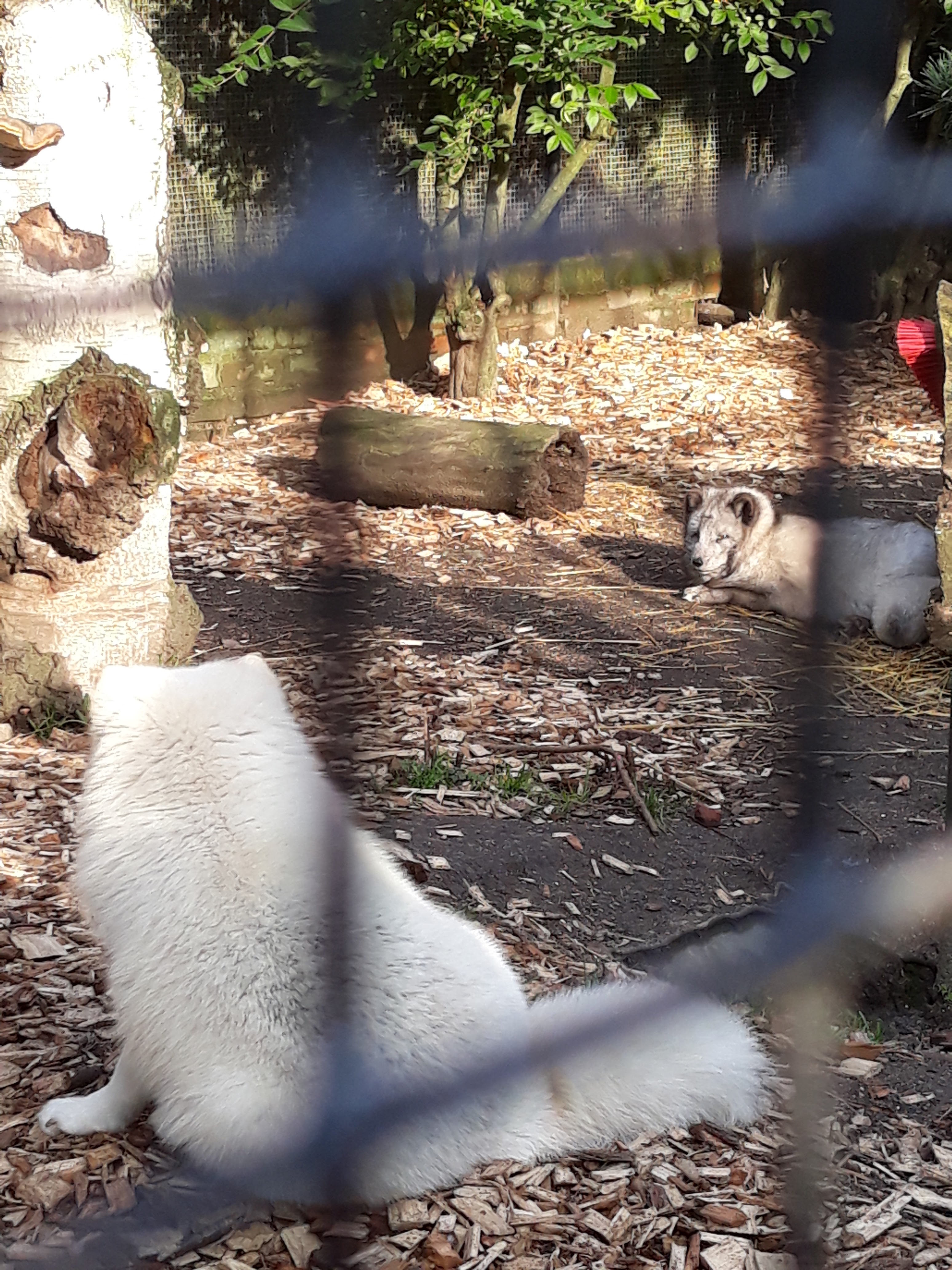 Photo n° 11 de l'avis de Priscillia.r fait le 18/02/2019 à 12:48