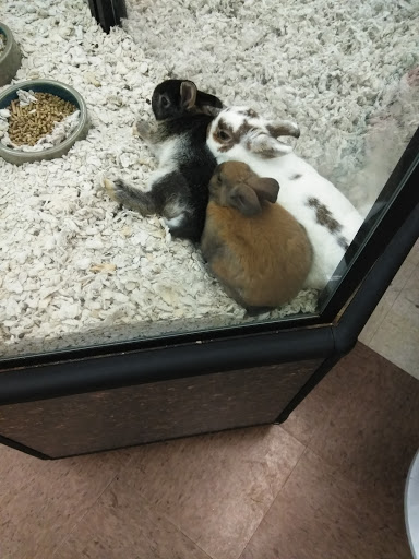 Pet Store «Back To Nature Pets & Grooming», reviews and photos, 110 N Dupont Hwy, New Castle, DE 19720, USA