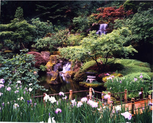 Bamboo Garden in Hoyt Arboretum