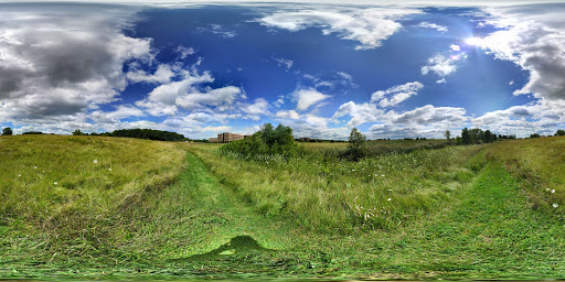 Insurance Agency «American Family Insurance - Shucheng Xu Agency», reviews and photos