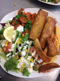 Plats et boissons du Restaurant de tacos PAPRIKA TACOS : FAST FOOD - SNACK - RESTAURANT - Tacos. Kebab.Burger.Panini. Salade.Frites.Boissons. Dessert. à Royan - n°6