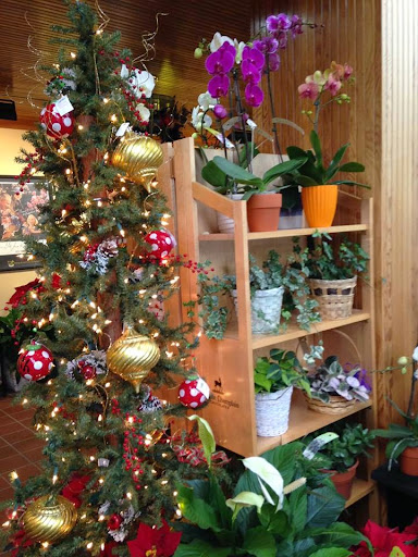 Florist «The Orchid Florist», reviews and photos, 1 Chase Ave, Waterbury, CT 06704, USA