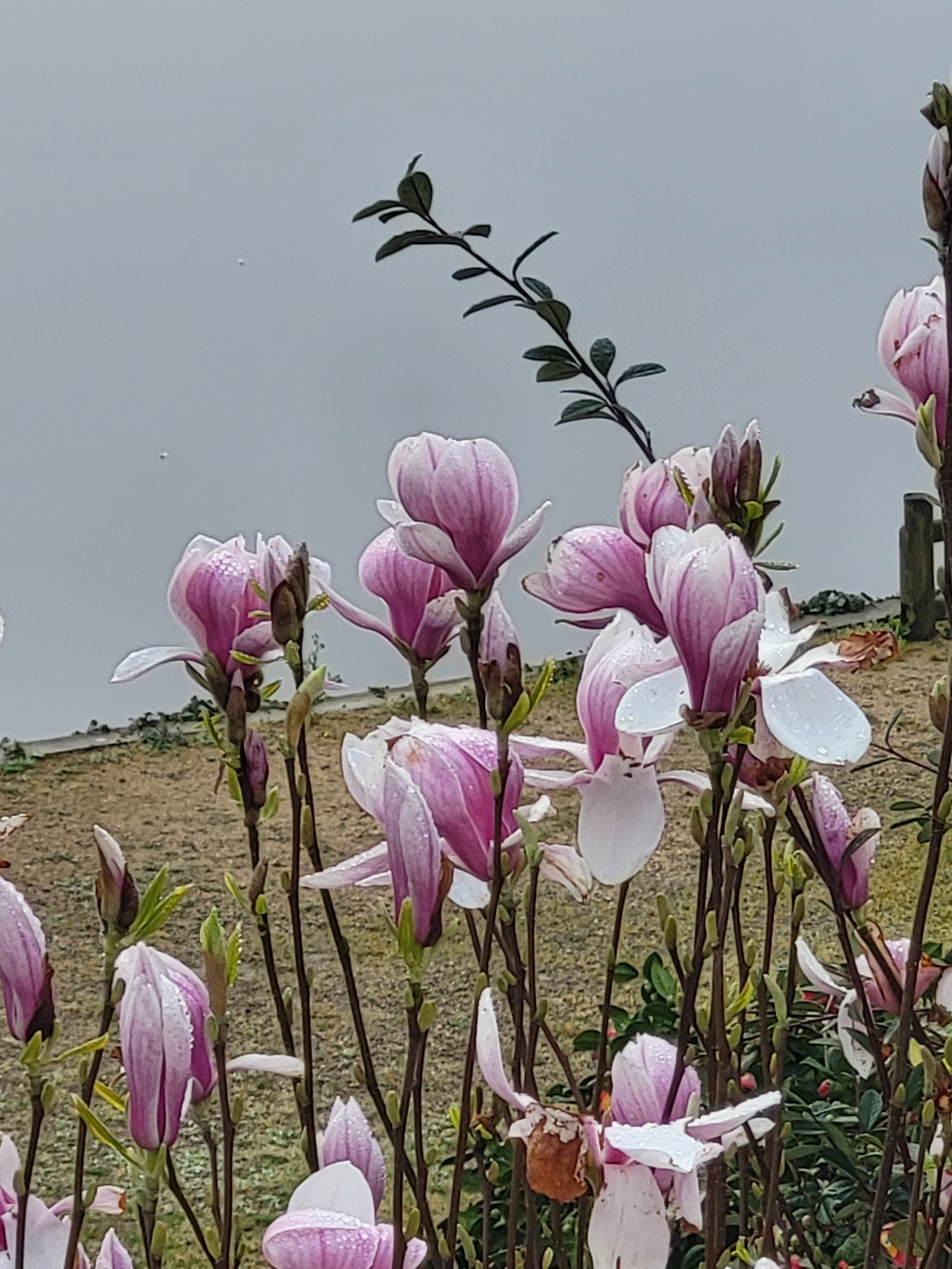 Photo n° 3 de l'avis de francoise.o fait le 15/03/2024 à 05:38