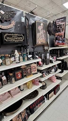 Craft Store «Michaels», reviews and photos, 4017 US Hwy 98 N, Lakeland, FL 33809, USA