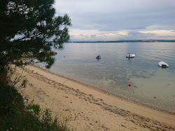 Sovinje beach'in fotoğrafı çok temiz temizlik seviyesi ile