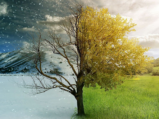 Tire Shop «All Star Tire & Auto Service Company, Inc.», reviews and photos, 534 N Capitol Ave, Indianapolis, IN 46204, USA