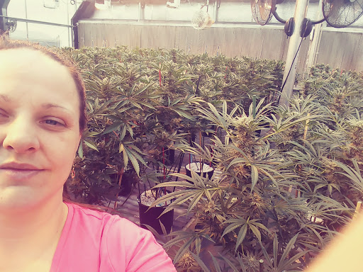 Hotel «My 420 Tours», reviews and photos, 3881 Steele St, Denver, CO 80205, USA