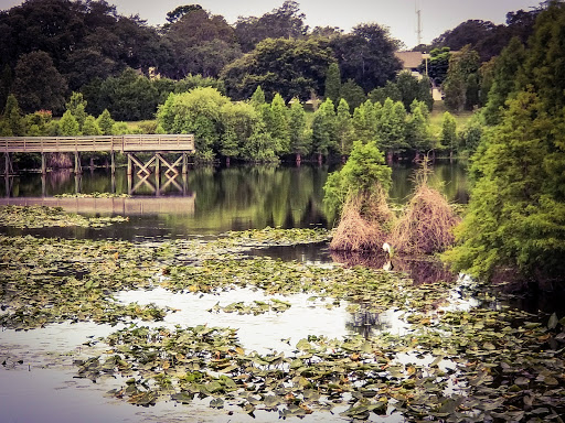 Park «Kapok Park», reviews and photos, 2950 Glen Oak Ave N, Clearwater, FL 33759, USA