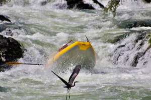 Jefferson State Outfitters | Rogue River Rafting & Fishing image
