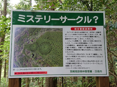 Japan Circle Tree
