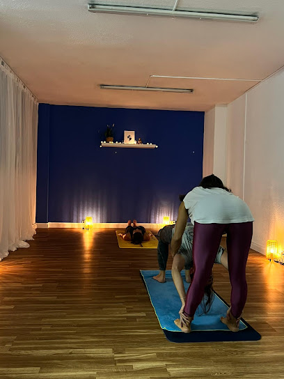 EKAM ASHTANGA YOGA VALENCIA