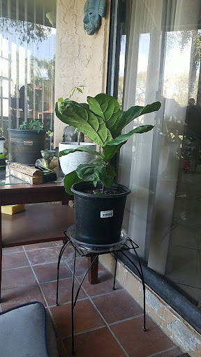 Grocery Store «Winn-Dixie», reviews and photos, 901 N Nob Hill Rd, Plantation, FL 33324, USA