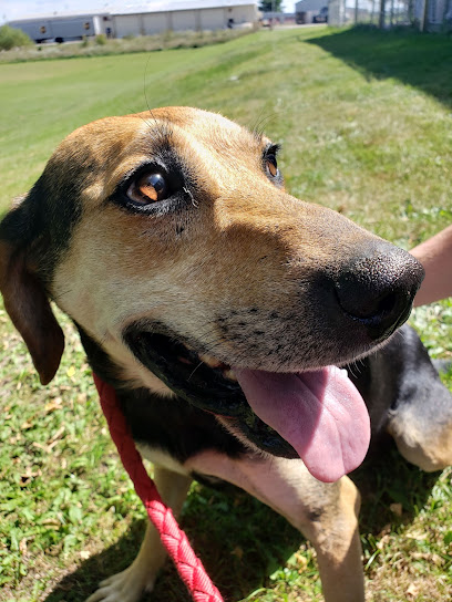 Iowa County Humane Society