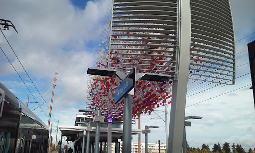 Park «Angle Lake Park», reviews and photos, 19408 International Blvd, SeaTac, WA 98188, USA