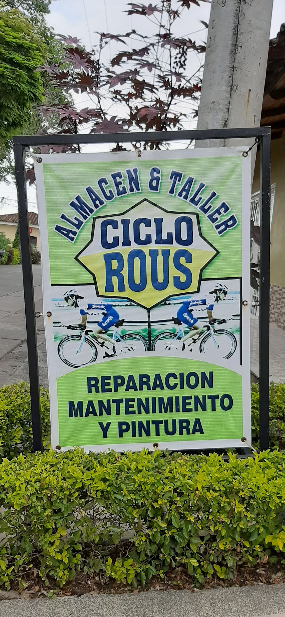 Ciclorous