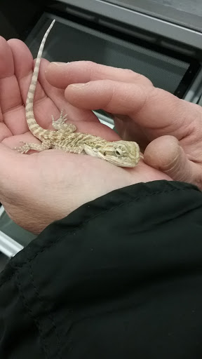 Pet Supply Store «Pet Supplies Plus», reviews and photos, 400 Lowell Ave Suite 14, Haverhill, MA 01832, USA