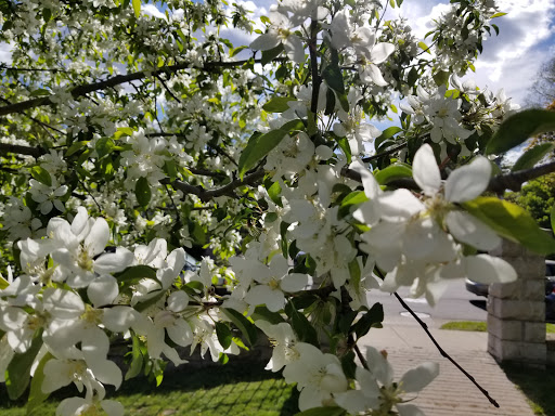 Park «Pioneer Park», reviews and photos, 515 2nd St N, Stillwater, MN 55082, USA