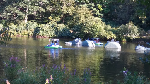 Park «Sterling Forest State Park», reviews and photos, Old Forge Rd, Tuxedo Park, NY 10987, USA