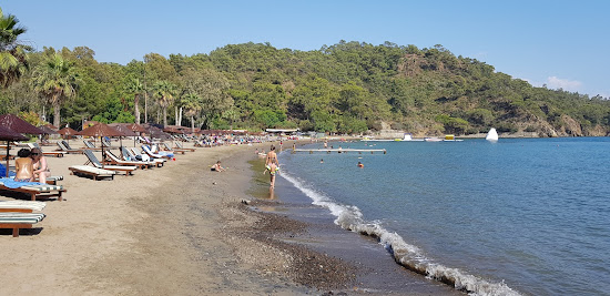 Daily beach