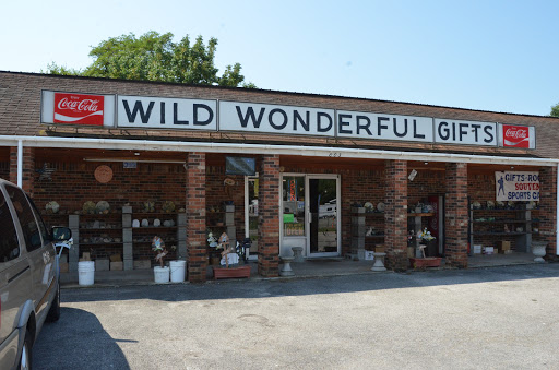 Gift Shop «Wild Wonderful Gift Shop», reviews and photos, 803 Mammoth Cave Rd, Cave City, KY 42127, USA