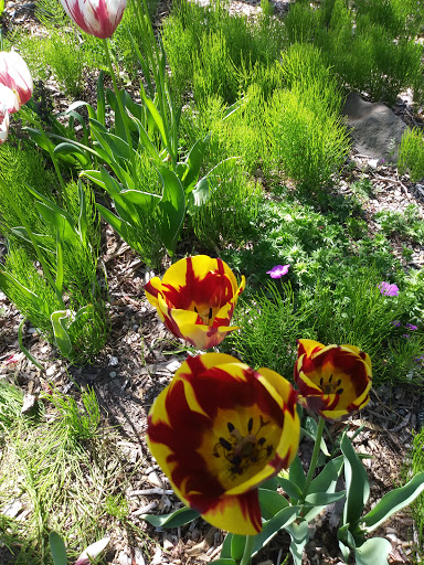 Golf Course «Jefferson Park Golf Course», reviews and photos, 4101 Beacon Ave S, Seattle, WA 98108, USA