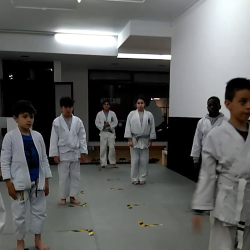Brazilian Jiu-Jitsu - Braga