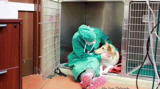 45 Jackson Rd, Medford, NJ 08055, USA