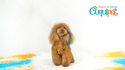 Cuquipet, peluquería de mascotas con ozonoterapia. Santander. - Servicios para mascota en Santander