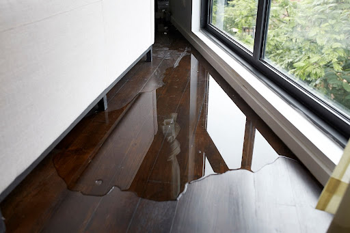 Water Damage Services Thousand Oaks