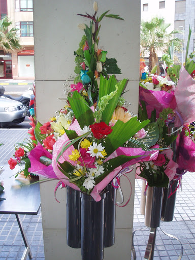 Floristeria y Boutique del Bonsái Javier Déniz