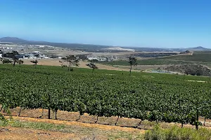 Durbanville Hills Winery image