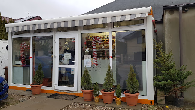 Comentarii opinii despre Piekarnia Okruszek