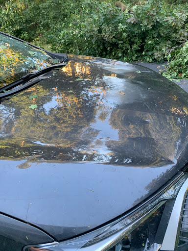 Auto Body Shop «Dba Auto Body Inc», reviews and photos, 231 Washington St, East Walpole, MA 02032, USA