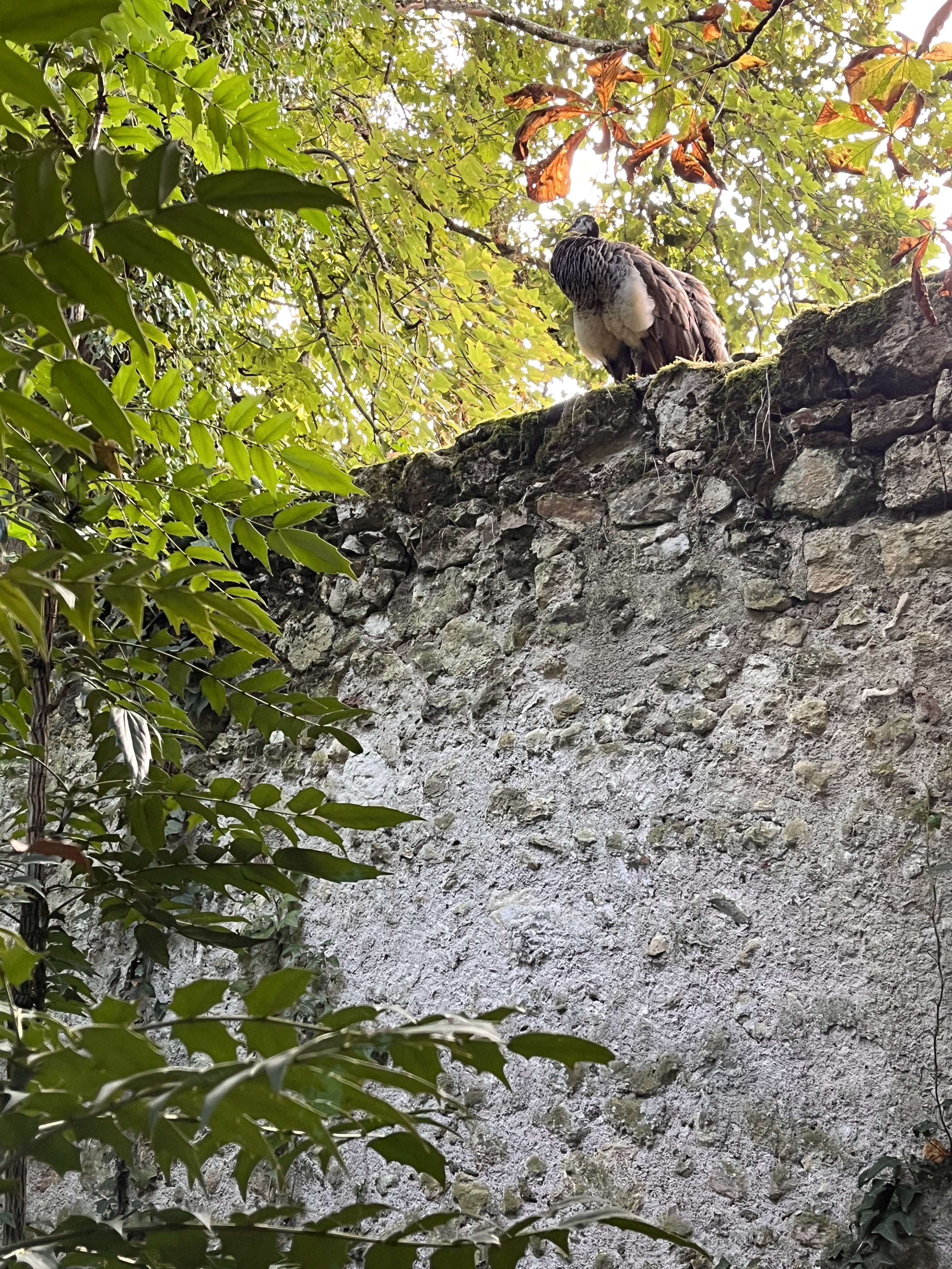 Photo n° 13 de l'avis de Sophie.a fait le 20/01/2024 à 18:02